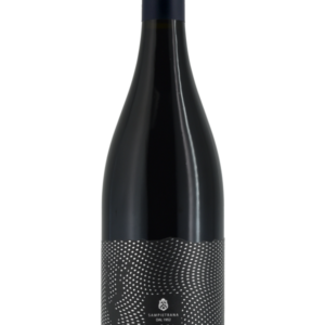 CENTOARE NEGROAMARO IGP SALENTO